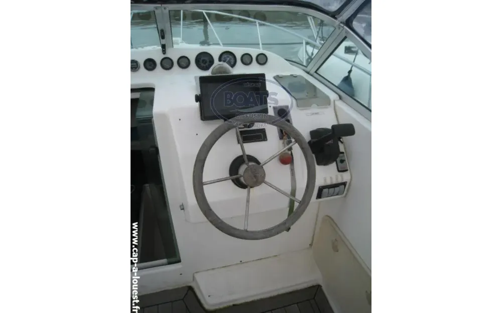 slider 5 Kelt White Shark 237