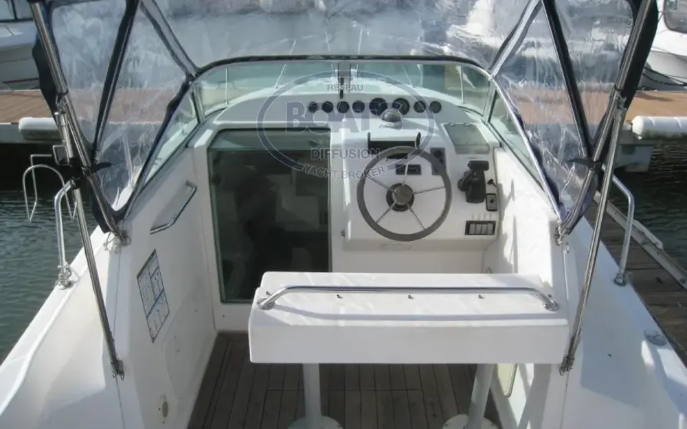 slider 6 Kelt White Shark 237