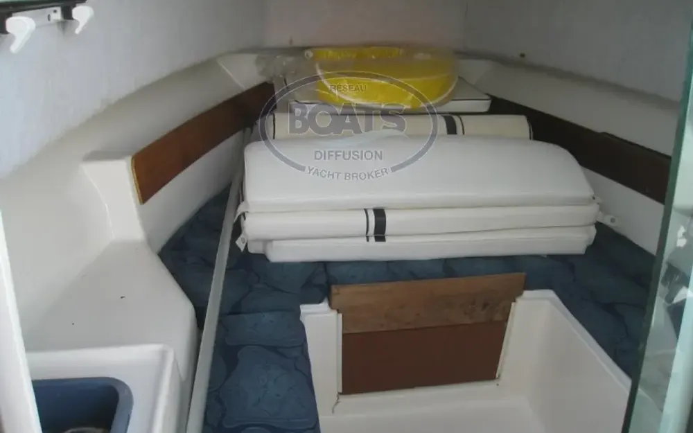 slider 8 Kelt White Shark 237