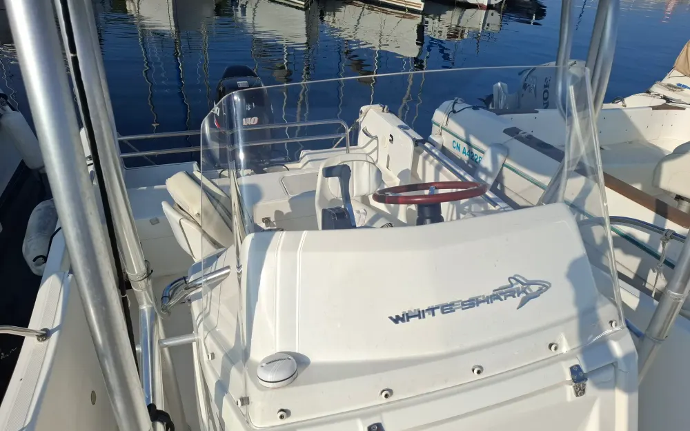 slider 9 Kelt White Shark 206