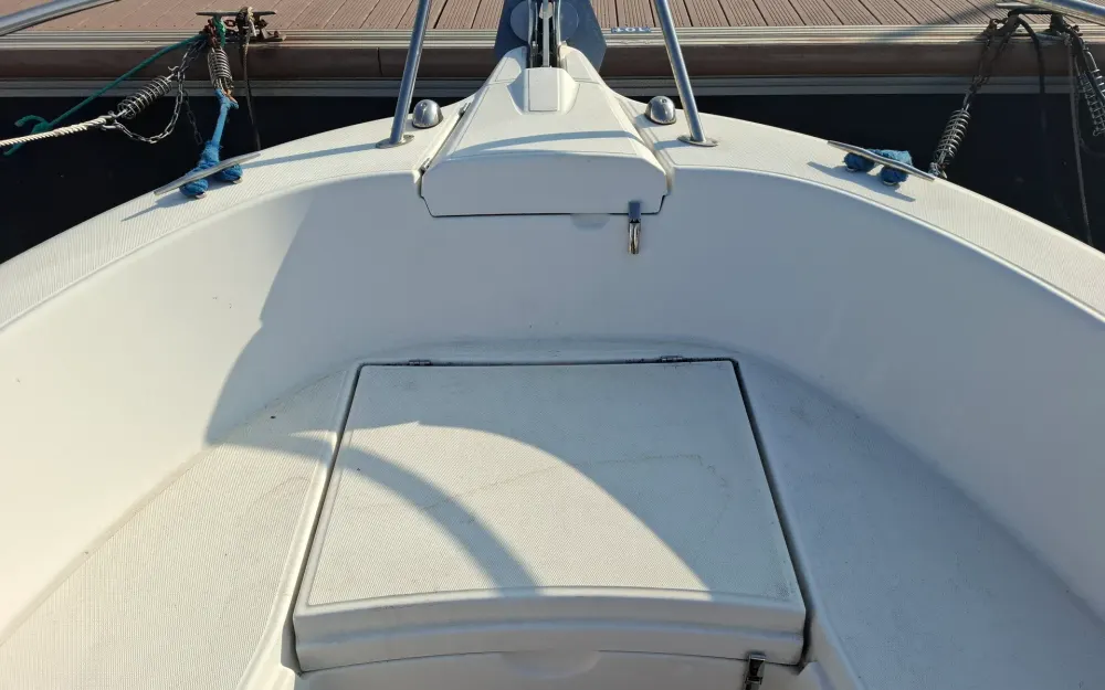 slider 13 Kelt White Shark 206