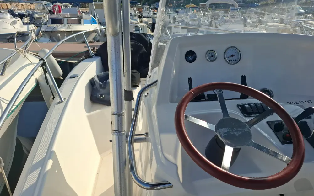 slider 4 Kelt White Shark 206