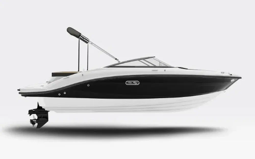 slider 1 Sea Ray  190 SPX