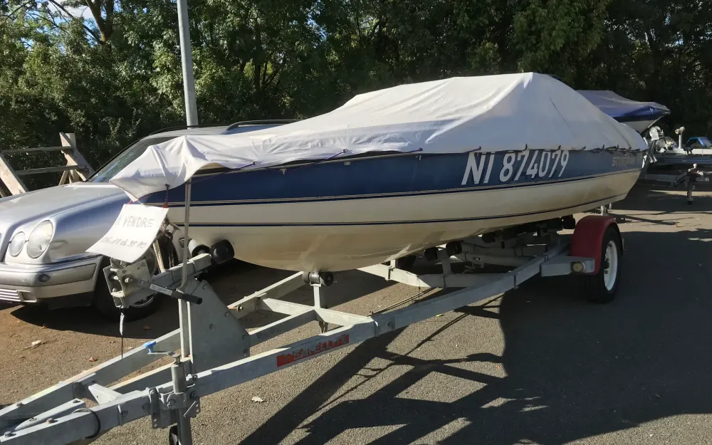 slider 3 Stingray  501