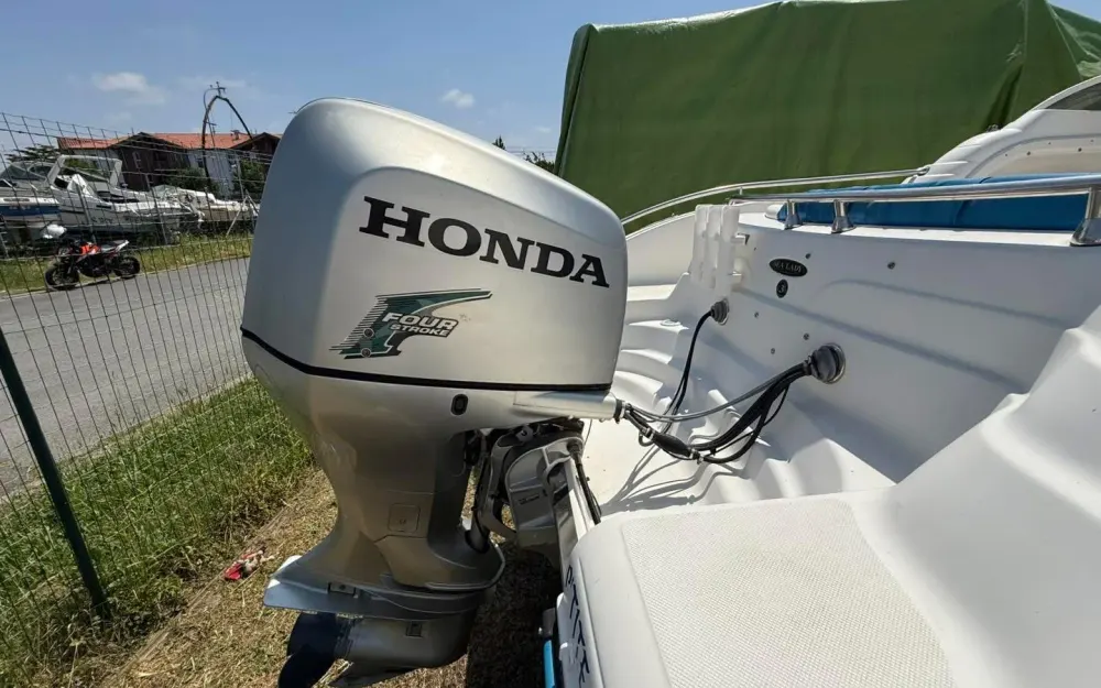 slider 12 Ranieri Sea Lady