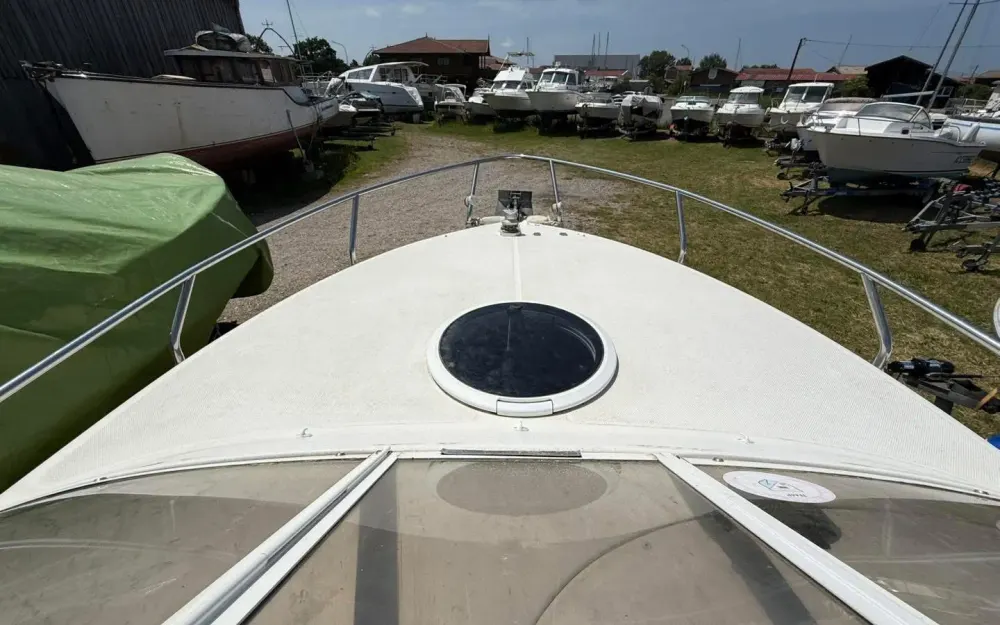 slider 24 Ranieri Sea Lady