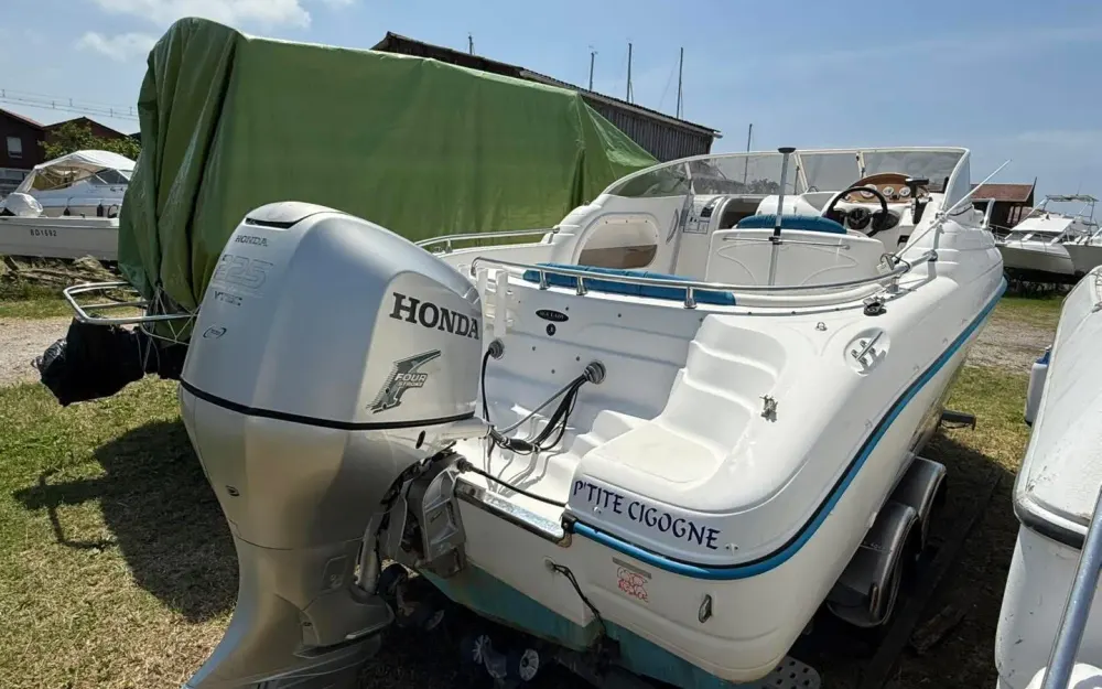 slider 6 Ranieri Sea Lady