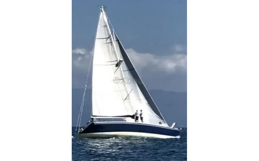 slider 3 Coder Shark 50