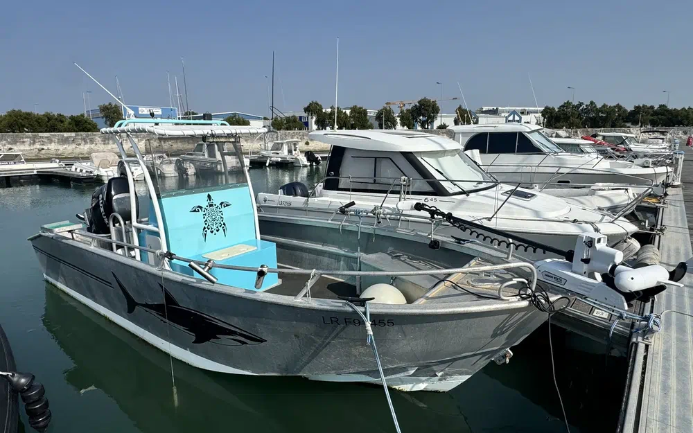 slider 1 Prophil 699