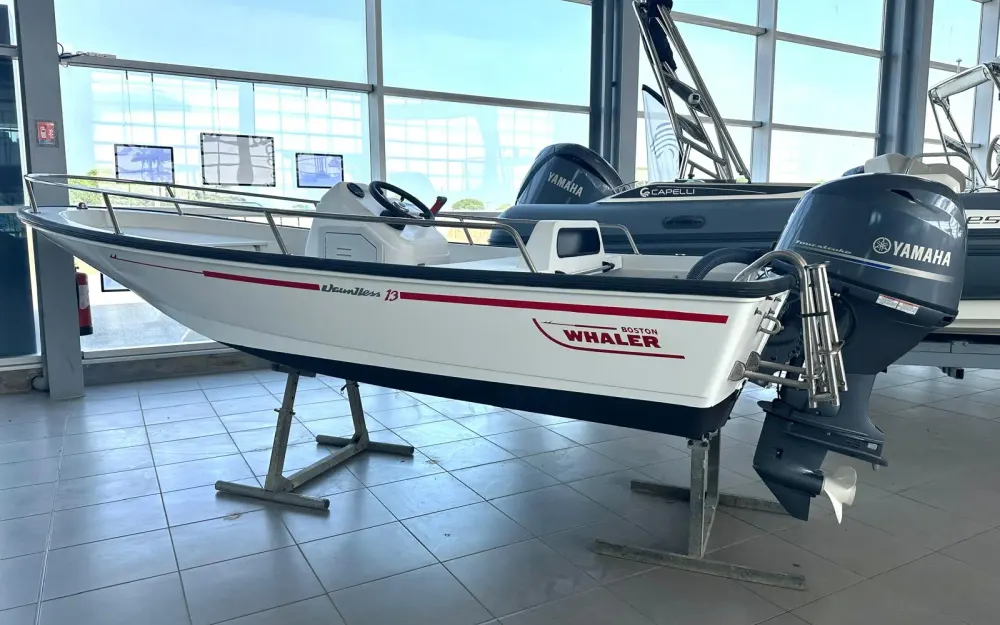 slider 0 Boston Whaler  13 Dauntless - null