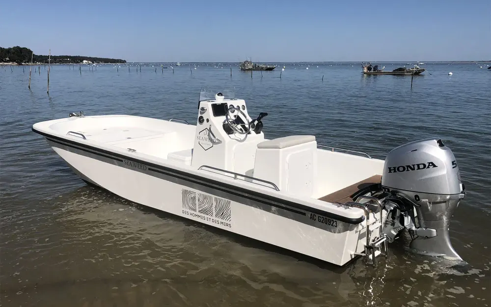 slider 3 Seaweed  535 Console