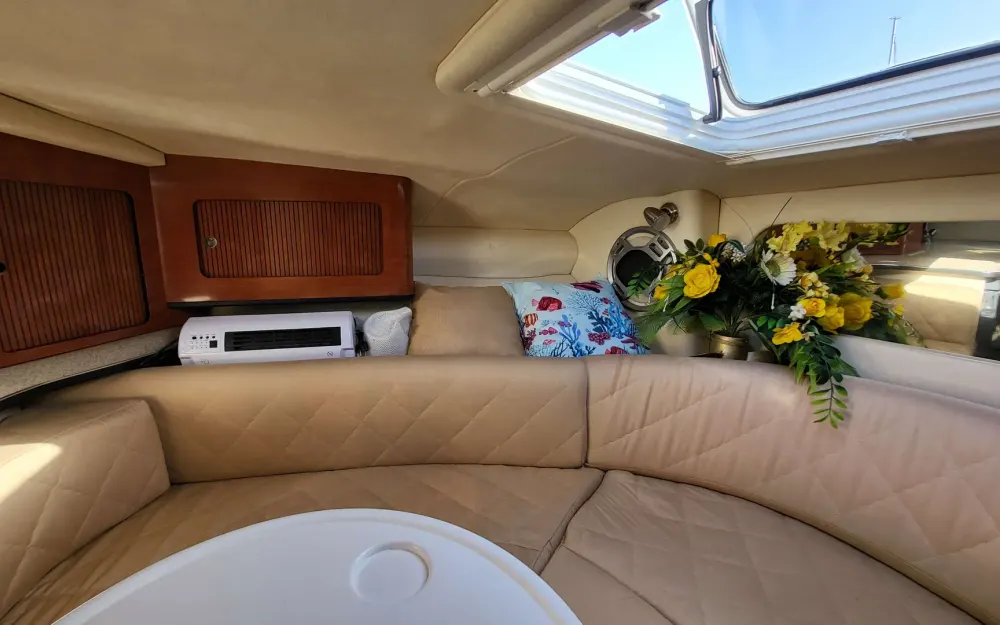 slider 17 Sea Ray  290 Sun Sport