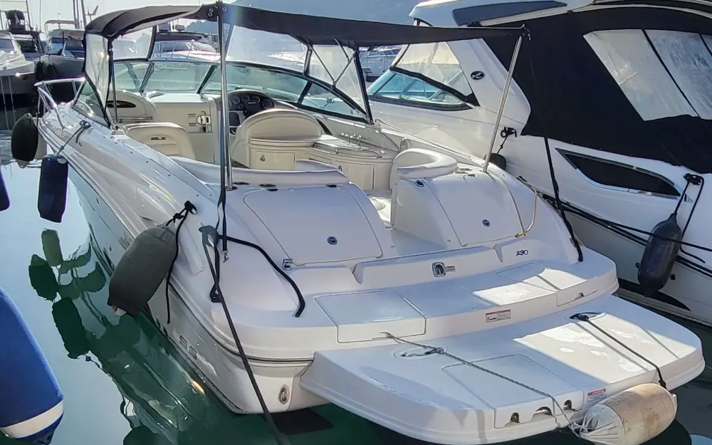 slider 2 Sea Ray  290 Sun Sport
