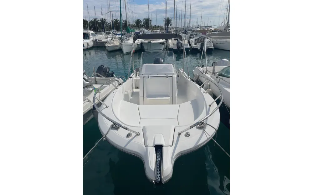 slider 1 White Shark  206
