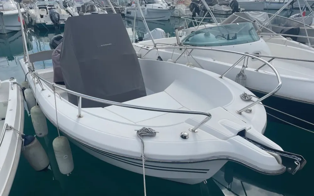 slider 2 White Shark  206