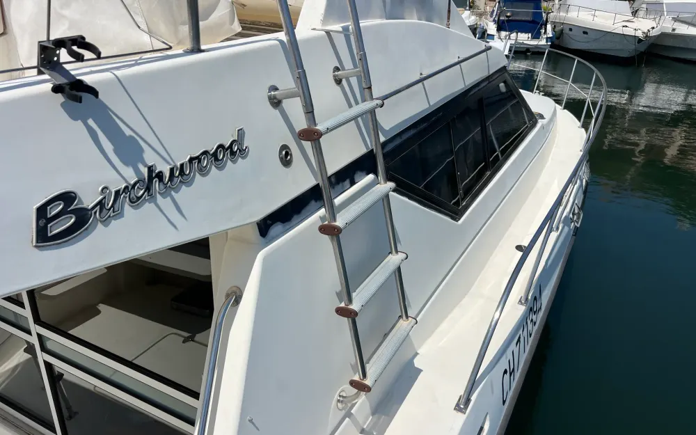 slider 2 Vedette Fly Birchwood TS33 - 2x 200cv Volvo Penta