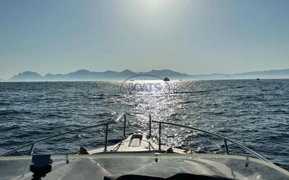 slider 10 Kelt White Shark 248