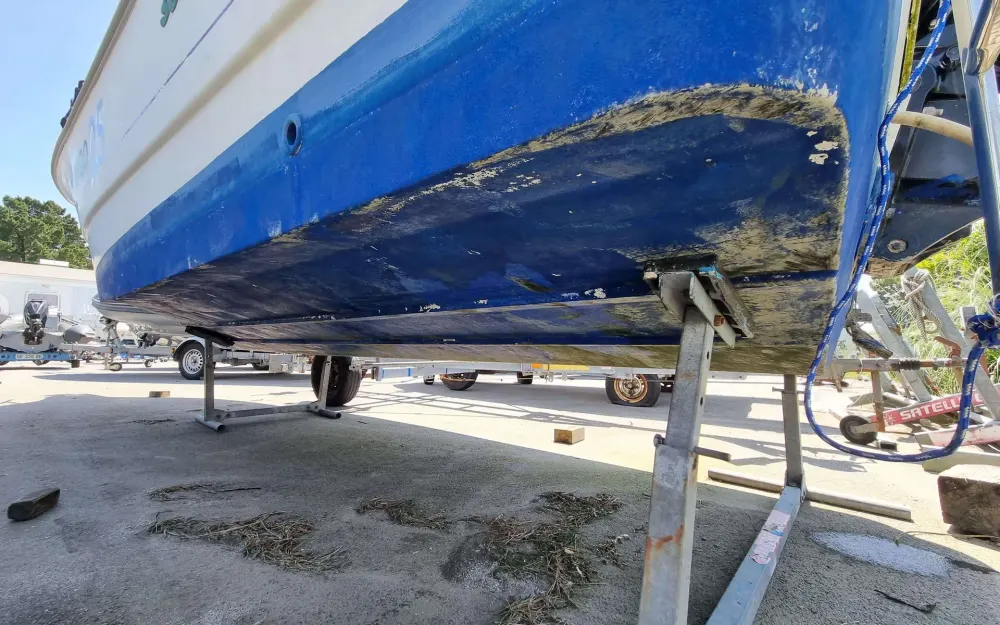 slider 17 Sessa Marine Key Largo 25 - null