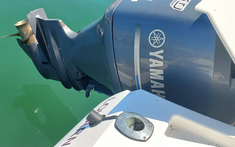 slider 3 Jeanneau Merry Fisher 755 Marlin