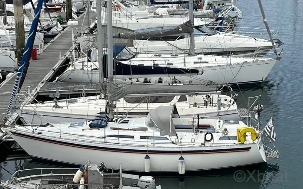 slider 1 Marine Project Moody 34