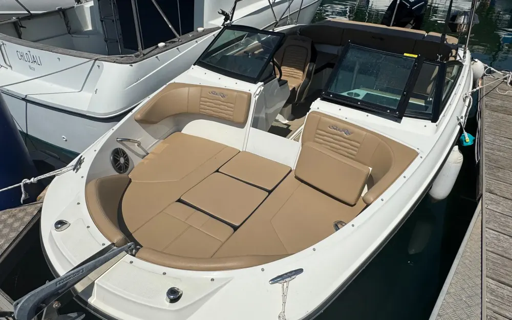slider 1 Sea Ray  210