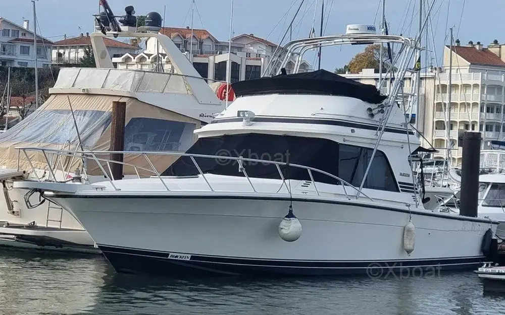 slider 1 Black Fin Convertible 38