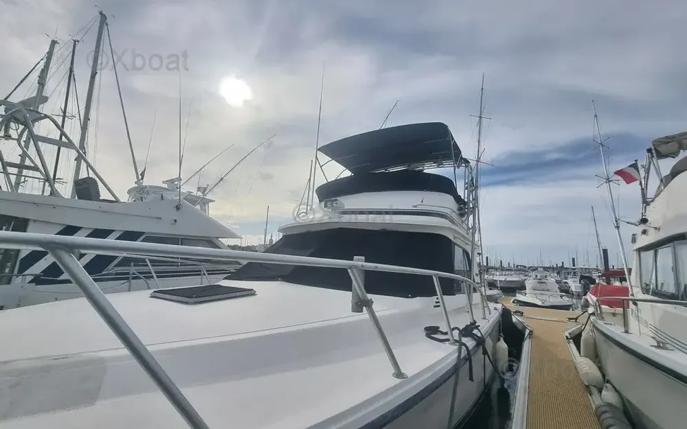 slider 3 Black Fin Convertible 38