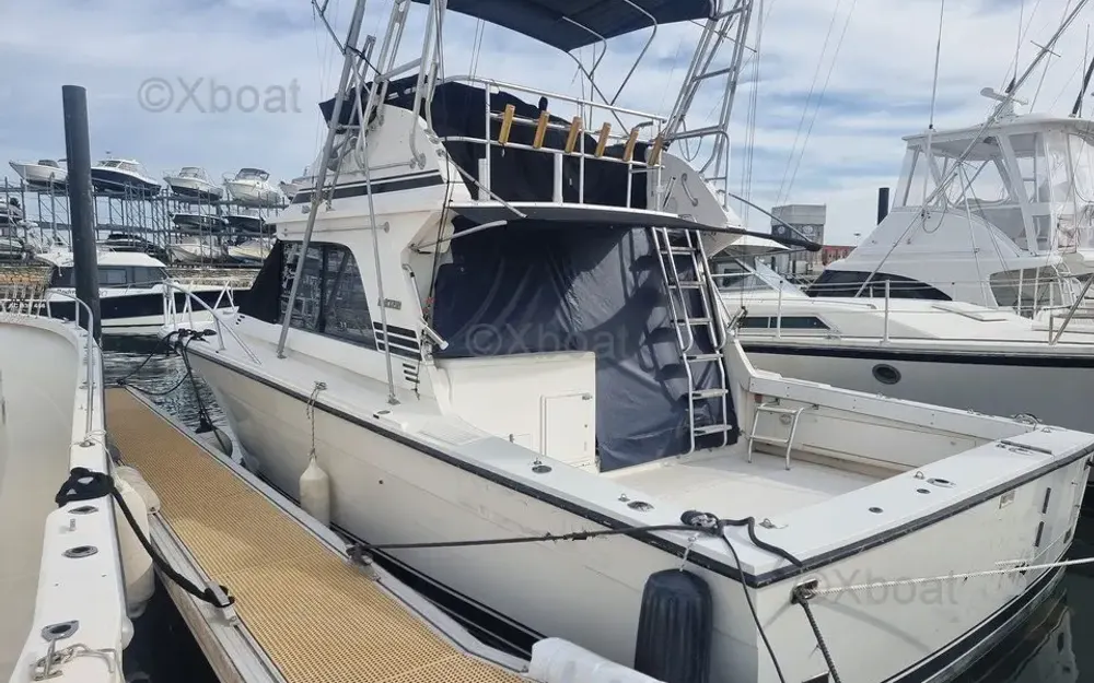 slider 5 Black Fin Convertible 38