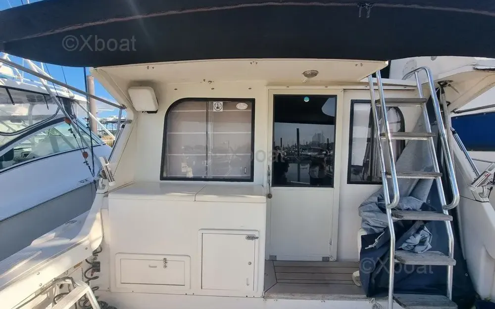 slider 8 Black Fin Convertible 38