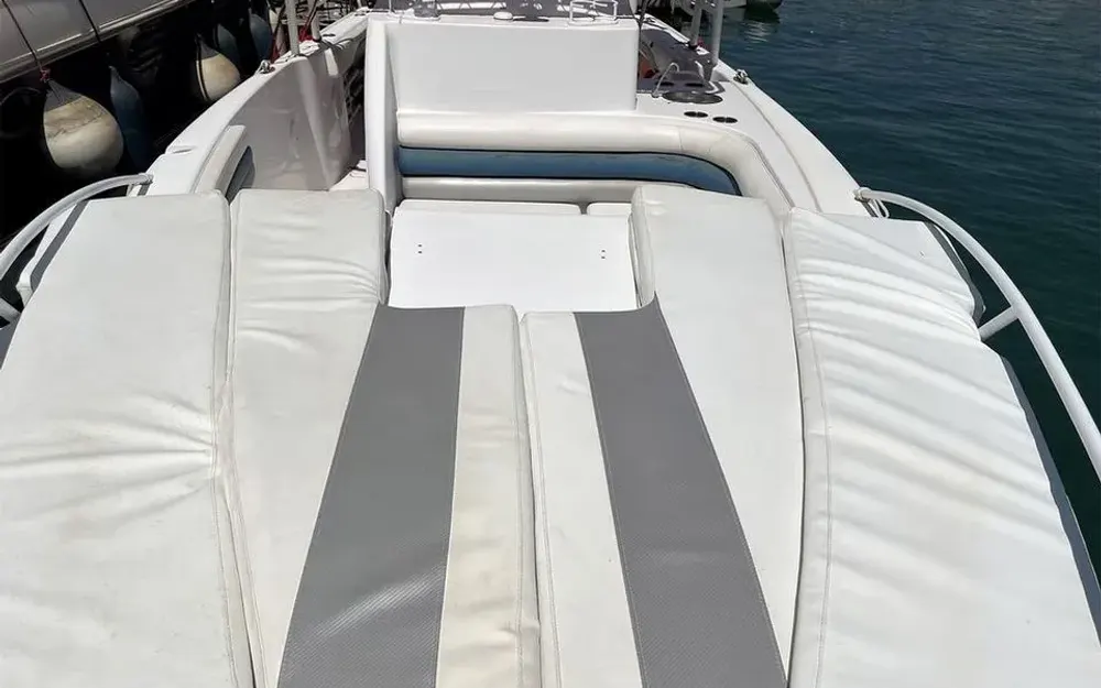 slider 22 Donzi  35 ZFX