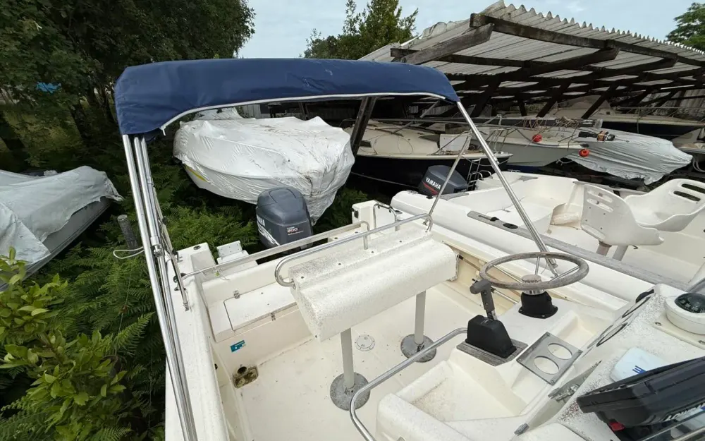 slider 11 Kelt White Shark 225