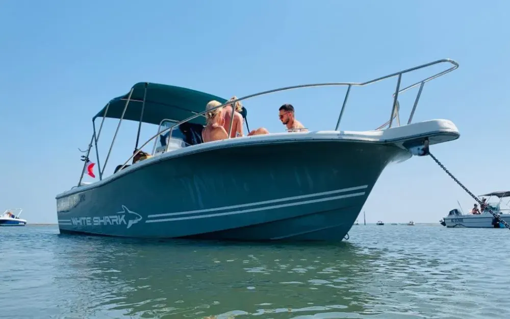 slider 2 Kelt White Shark 225