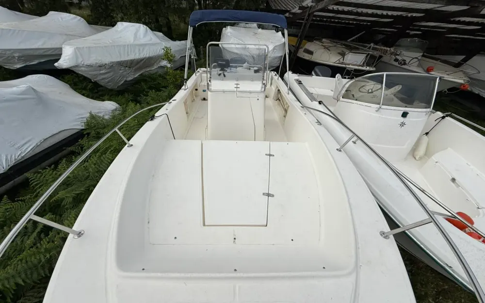 slider 13 Kelt White Shark 225