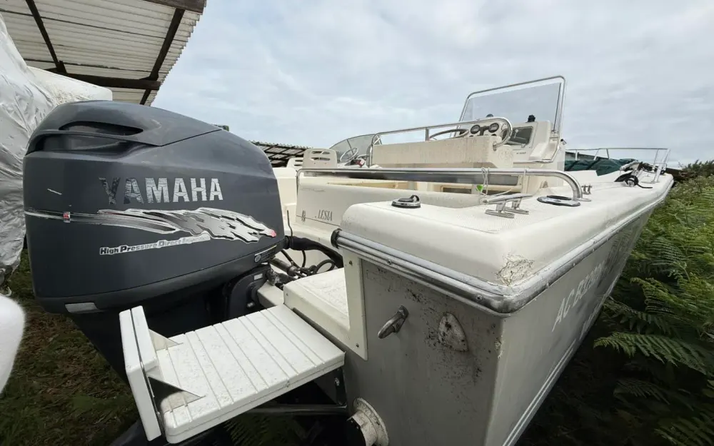 slider 14 Kelt White Shark 225
