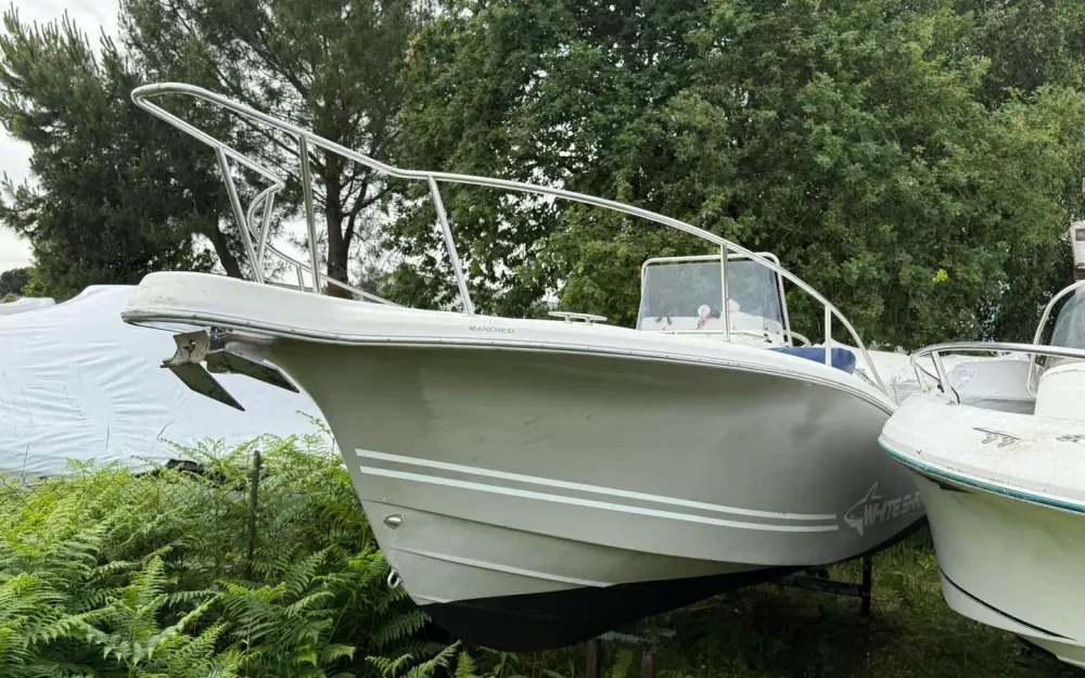 slider 15 Kelt White Shark 225