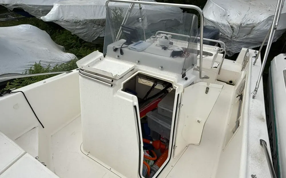 slider 17 Kelt White Shark 225