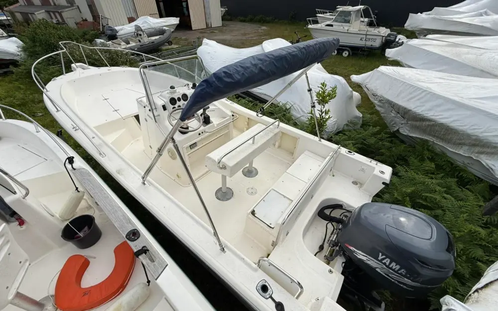 slider 19 Kelt White Shark 225
