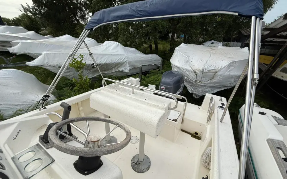 slider 9 Kelt White Shark 225