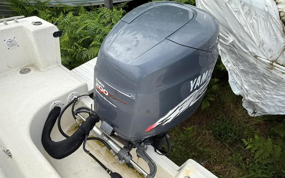 slider 21 Kelt White Shark 225