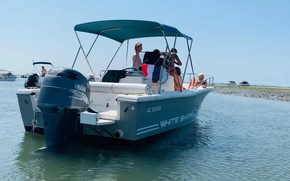 slider 1 Kelt White Shark 225