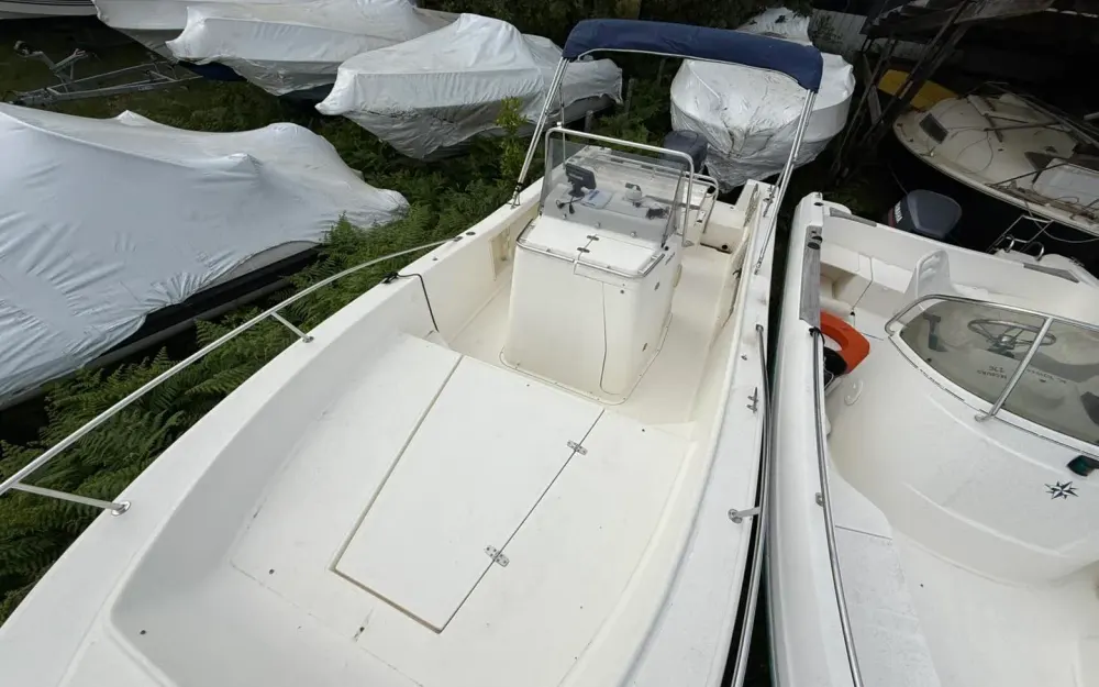 slider 8 Kelt White Shark 225
