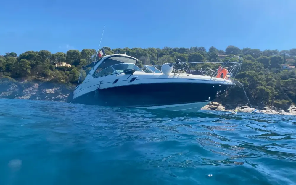 slider 1 Sea Ray  305 Sundancer