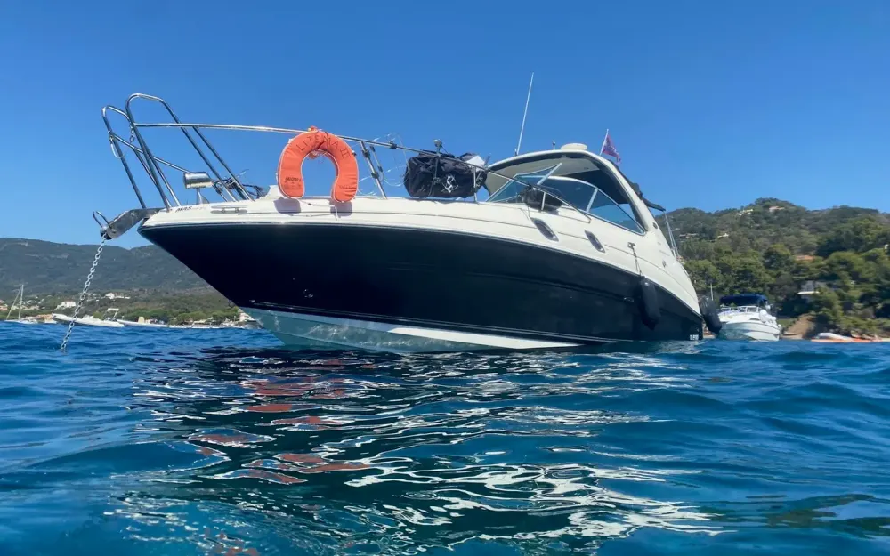 slider 0 Sea Ray  305 Sundancer