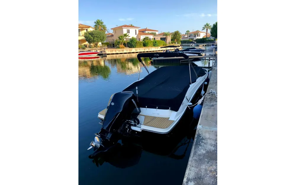 slider 10 Sea Ray  230 SPX