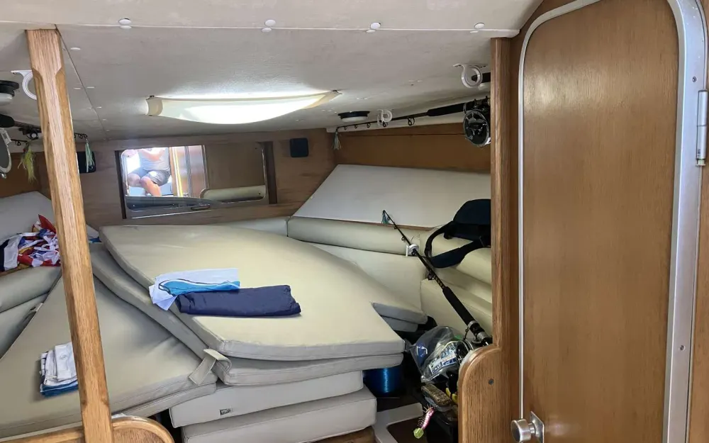 slider 25 Marine Project Princess 286 Riviera