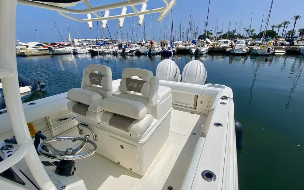 slider 3 Boston Whaler  320 Outrage
