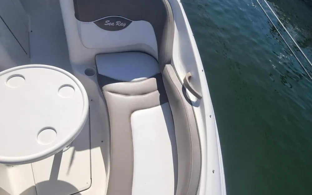 slider 10 Sea Ray  220 Sundeck