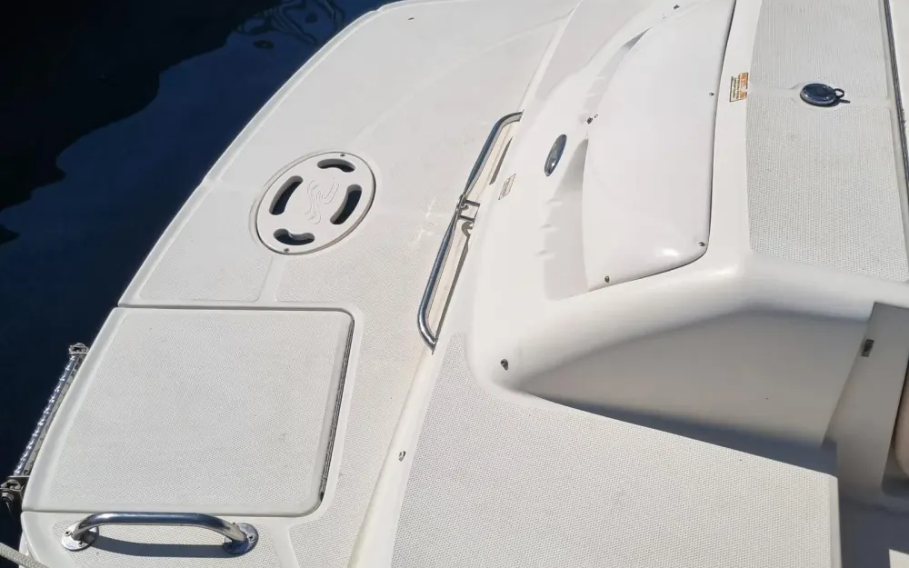 slider 4 Sea Ray  220 Sundeck