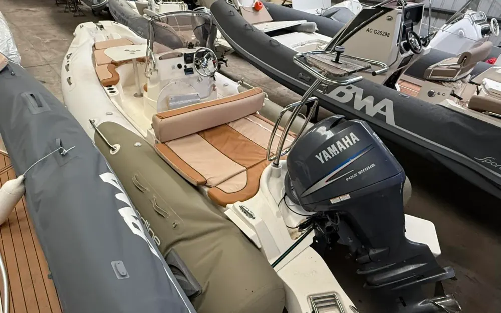 slider 10 Zodiac Medline 650