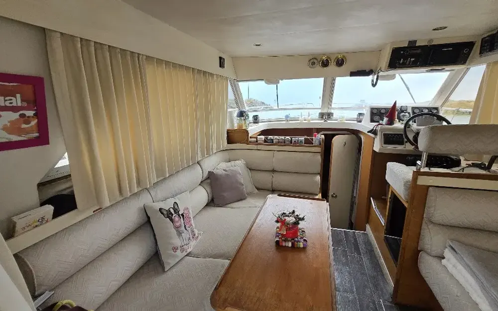 slider 7 Marine Project Princess 315 Fly